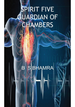 Spirit Five Guardian Of Chambers