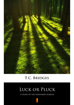 Luck or Pluck. A Story of the Northern Forests