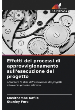 Effetti dei processi di approvvigionamento sull'esecuzione del progetto