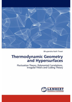 Thermodynamic Geometry and Hypersurfaces
