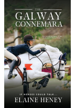 The Galway Connemara | The Autobiography of an Irish Connemara Pony. If horses could talk