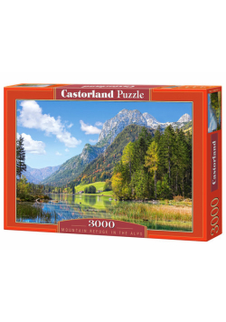 Puzzle Moutain refuge 3000