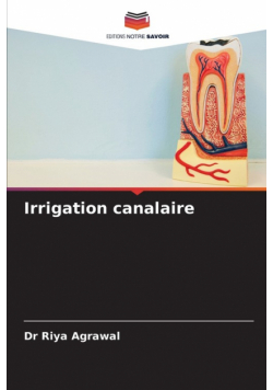 Irrigation canalaire