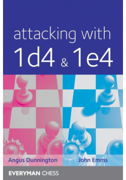 Attacking with 1d4&1e4