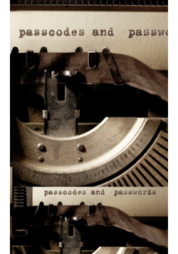 passwords and passcodes creative blank journal
