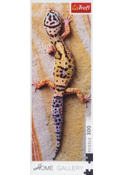 Puzzle Wygrzewająca się jaszczurka 300
