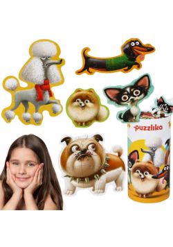 Puzzle 25 5w1 Psy