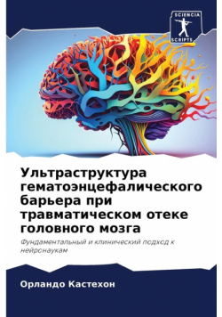 Ультраструктура гематоэнцефалического барьера при травматическом отеке головного мозга