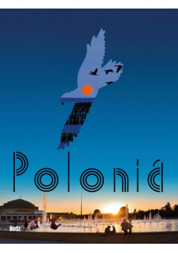 Polska wersja włoska