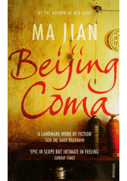 Beijing Coma
