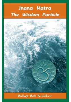 The Wisdom Particle