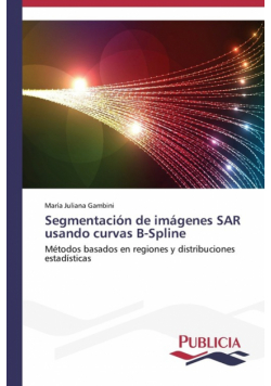 Segmentación de imágenes SAR usando curvas B-Spline
