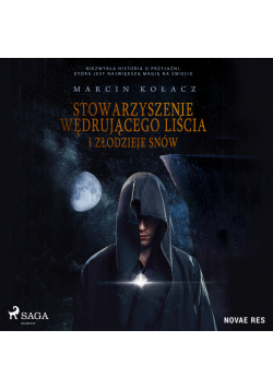 Stowarzyszenie wędrującego liścia i złodzieje snów