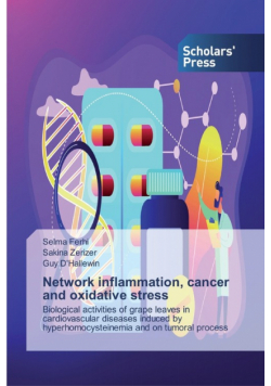 Network inflammation, cancer and oxidative stress