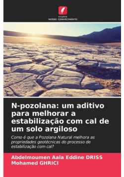 N-pozolana