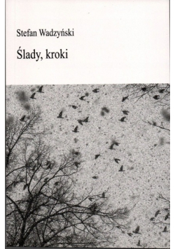 Ślady kroki