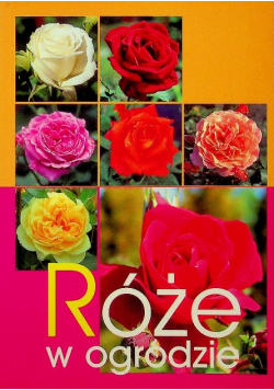 Róże w ogrodzie