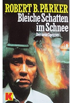 Bleiche Schatten im Schnee