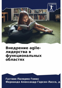 Внедрение agile-лидерства в функциональных областях