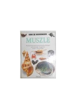 Muszle