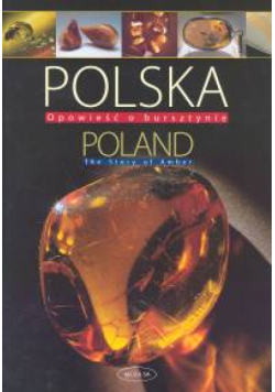 Polska Opowieść o bursztynie