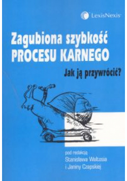 Zagubiona szybkość procesu karnego 695/05