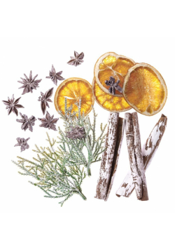 Naturalne elementy 19szt