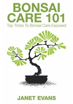 Bonsai Care 101