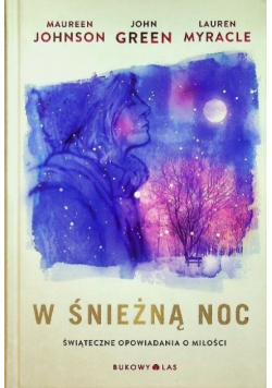 W śnieżną noc