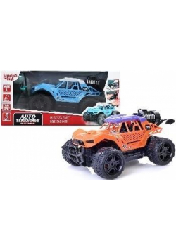 Auto terenowe zdalnie sterowane mix Toys For Boys