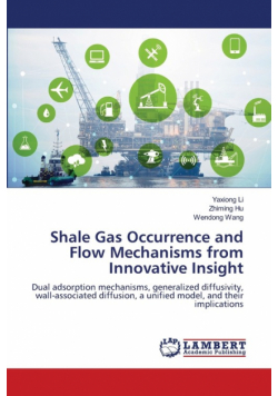 Shale Gas Occurrence and Flow Mechanisms from Innovative Insight