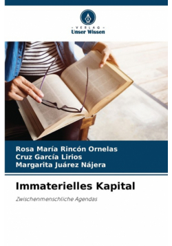 Immaterielles Kapital