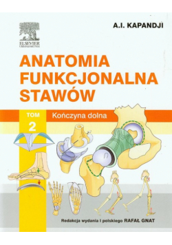Anatomia funkcjonalna stawów tom 2 Kończyna dolna