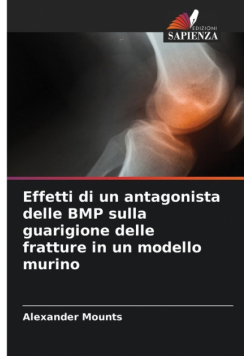 Effetti di un antagonista delle BMP sulla guarigione delle fratture in un modello murino