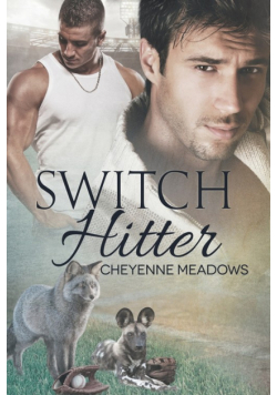 Switch Hitter