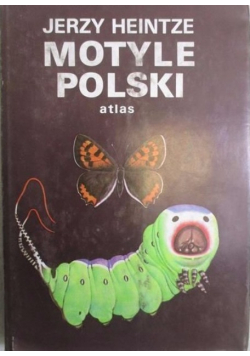 Motyle Polski
