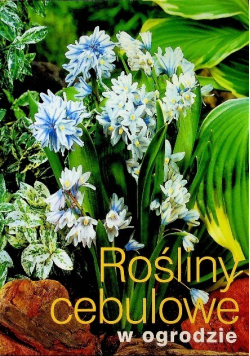 Rośliny cebulowe