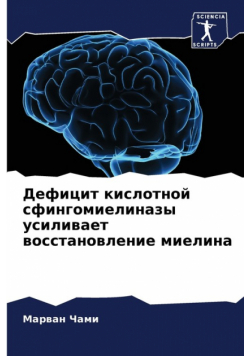 Дефицит кислотной сфингомиелиназы усиливает восстановление миелина