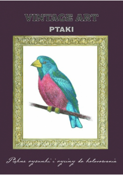Vintage Art Ptaki
