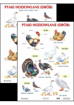Plansza Ptaki hodowlane