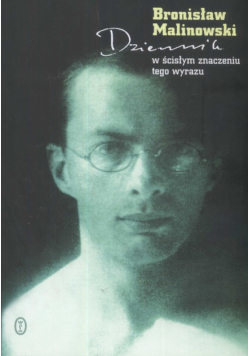 Dziennik w ścisłym znaczeniu tego wyrazu