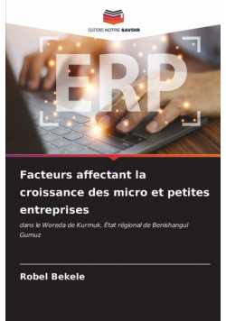 Facteurs affectant la croissance des micro et petites entreprises