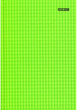 Brulion A5 Top-2000 w kratkę 96 kartek Vinyl Fluo zielony