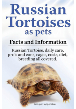 Russian Tortoises as Pets. Russian Tortoise facts and information. Russian tortoises daily care, pro's and cons, cages, diet, costs.