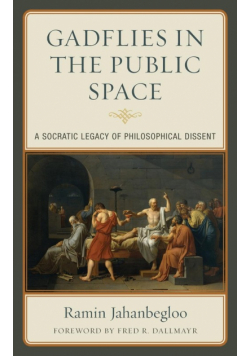 Gadflies in the Public Space