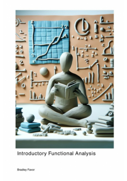 Introductory Functional Analysis