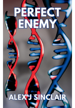 Perfect Enemy