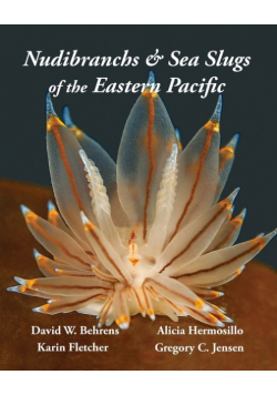 Nudibranchs & Sea Slugs of the Eastern Pacific