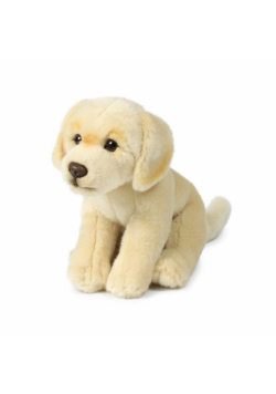Labrador kremowy 20 cm