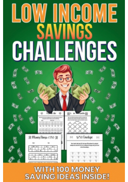 Low Income Savings Challenges